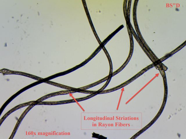 Microscopic Rayon Fiber