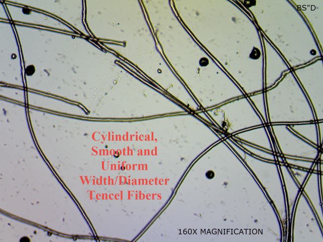 microscopic tencel fiber