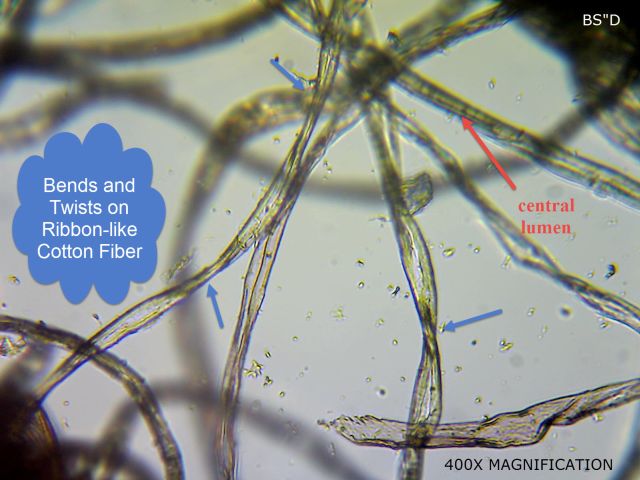 Microscopic Cotton Lawn Fiber