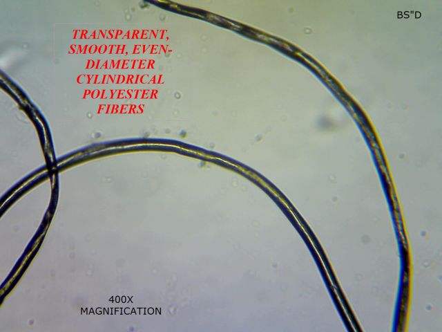 Microscopic View Polyester Fiber