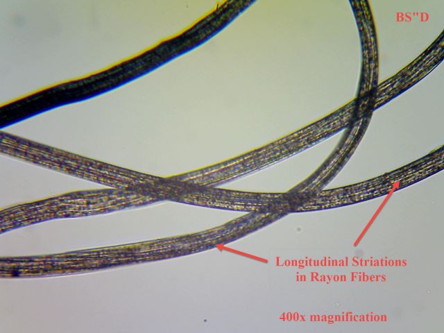 microscopic rayon fiber
