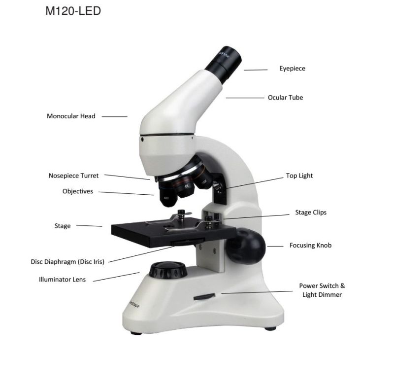 Parts of a Amscope Monocular Compound Student Microscope